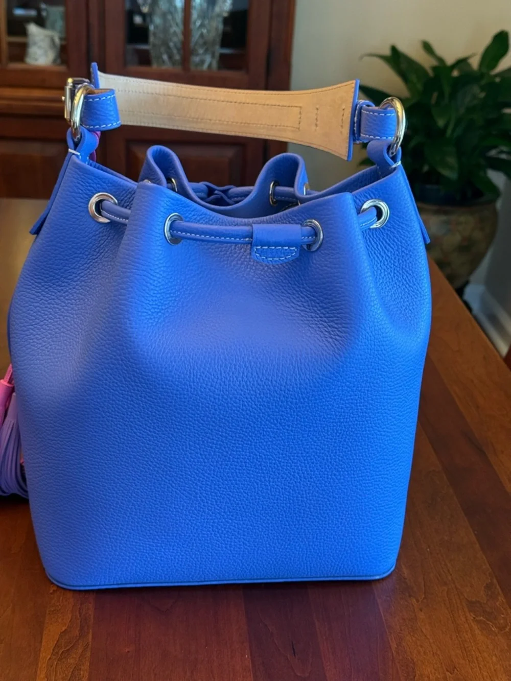 NWOT Dooney & Bourke Lucca Leather Drawstring Bag with Multi-Color Tassels - Picture 4 of 16